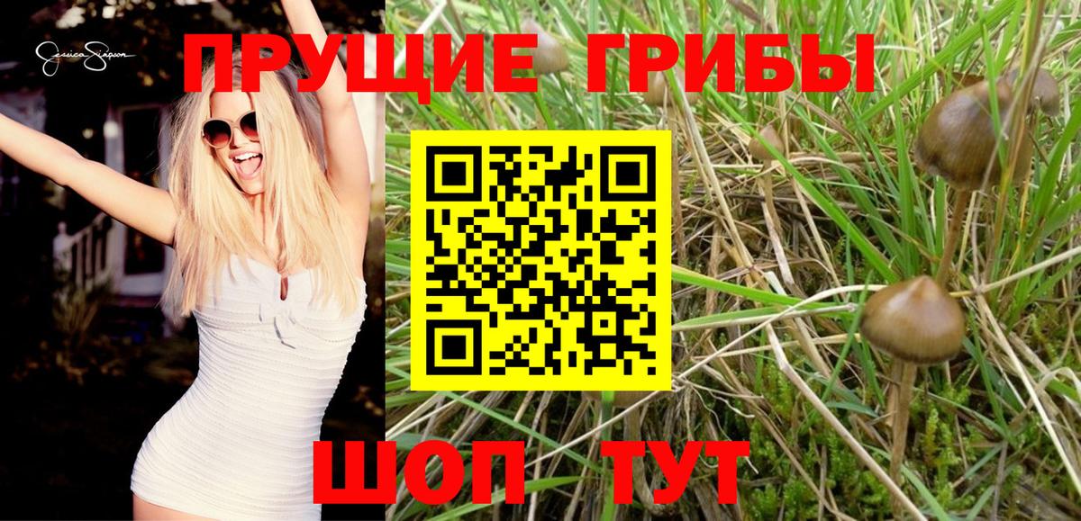 Псилоцибиновые грибы Magic Shrooms  Псилоцибиновые грибы Magic Shrooms  Балашиха  Вход с VPN 