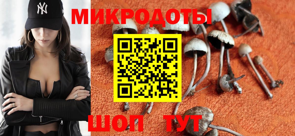Галлюциногенные грибы мицелий Балашиха